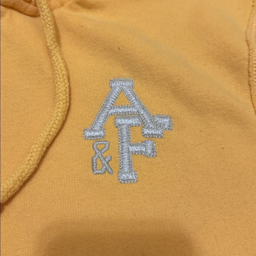 Abercrombie & Fitch Full Zip Hoodie - Picture 3 of 8
